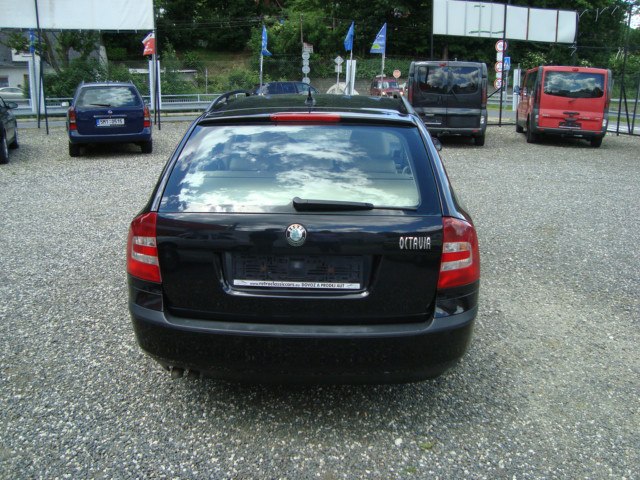 DSC08218